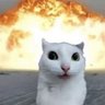 Baka_4_Osaka's profile picture