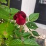 Фото профиля Marjan