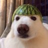 Profilbild von JROD