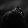 hrzz's profile picture