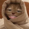 Profilbild von Savry