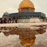 Фото профиля Ahmed yhia