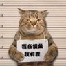 Profilbild von King Lin