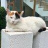 UzayBoşluğundanYazıyorum profil fotoğrafı