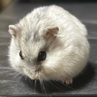 cyoro29113's profile picture
