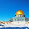 مالك محمد 的头像