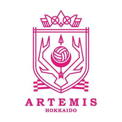アルテミス北海道【公式】's profile picture