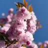 Фото профиля ぼく
