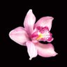 Фото профиля Lll