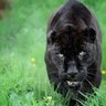 Marie L en a marre d'entendre des conneries profil fotoğrafı
