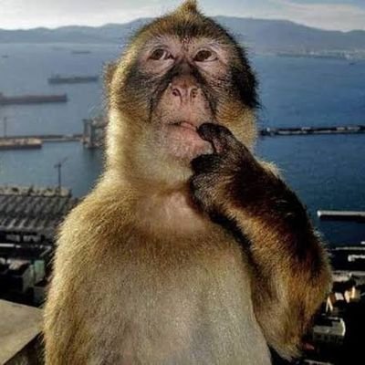 benjafernnandez's profile picture