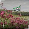 ahmad syria 的头像
