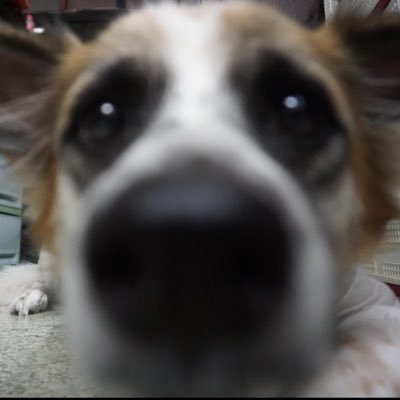 𝘩𝘩𝘦𝘢𝘳𝘵𝘩𝘩𝘦𝘢𝘳𝘵's profile picture