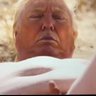 Don The con's profile picture