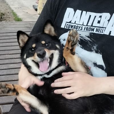SHIBAINU_coo's profile picture