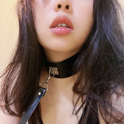 🌵🌵多肉植物's profile picture