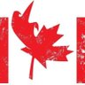 Фото профиля DifficultCanadian 🍁 🍁 🍁