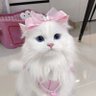 อย่าให้ต้องสอน!'s profile picture