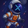 XRP Next Moon's profile picture