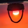 L's profile picture