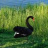Ntsx profil fotoğrafı