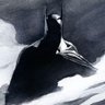 ๐๐พ๐ผ's profile picture
