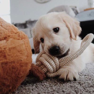 ヾ PP 🐰's profile picture