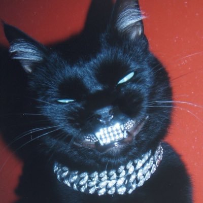 AV8 KBM 's profile picture