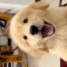 Eric 的头像