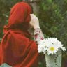 نورین's profile picture