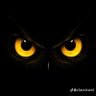 Profilbild von Richarddd web