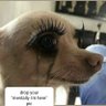 ead profil fotoğrafı