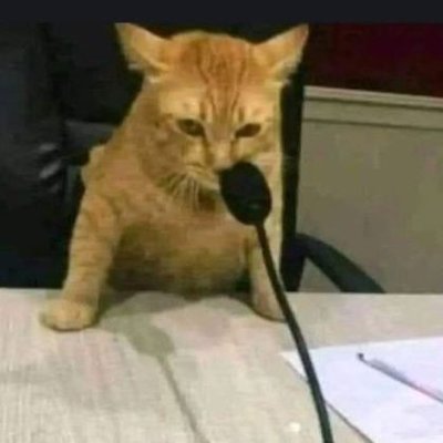 SofisShow's profile picture