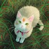 Nuna profil fotoğrafı