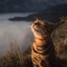 Aditya Kulshrestha's profile picture