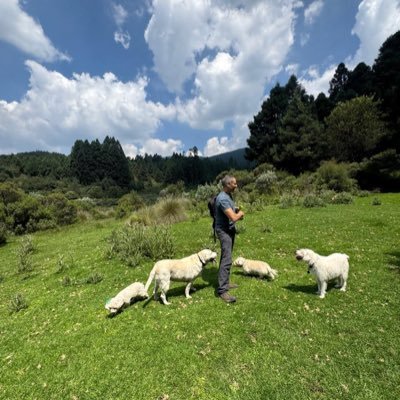 Alejandro Juárez #DiálogoCivilMilitar's profile picture