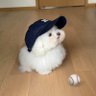 99971's profile picture