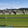 Фото профиля がと