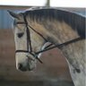 Profilbild von Ralena
