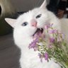 Profilbild von yuechangming_