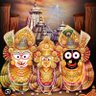 Фото профиля dharitri