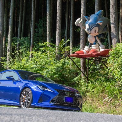 doraxus_RC's profile picture