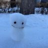 Profilbild von もぐお