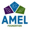 Amel.foundation's profile picture