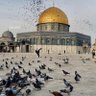 Фото профиля بــڼۨــٿــ ؏ــگــٰ̍ا