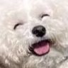 Profilbild von 山田太郎