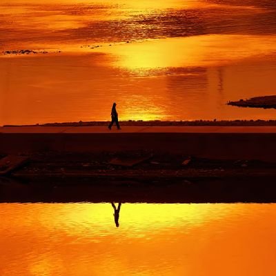 辞职炒币's profile picture