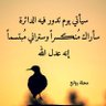 Youssif's profile picture