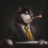 YAGAMI's profile picture