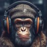 Blackduck's profile picture